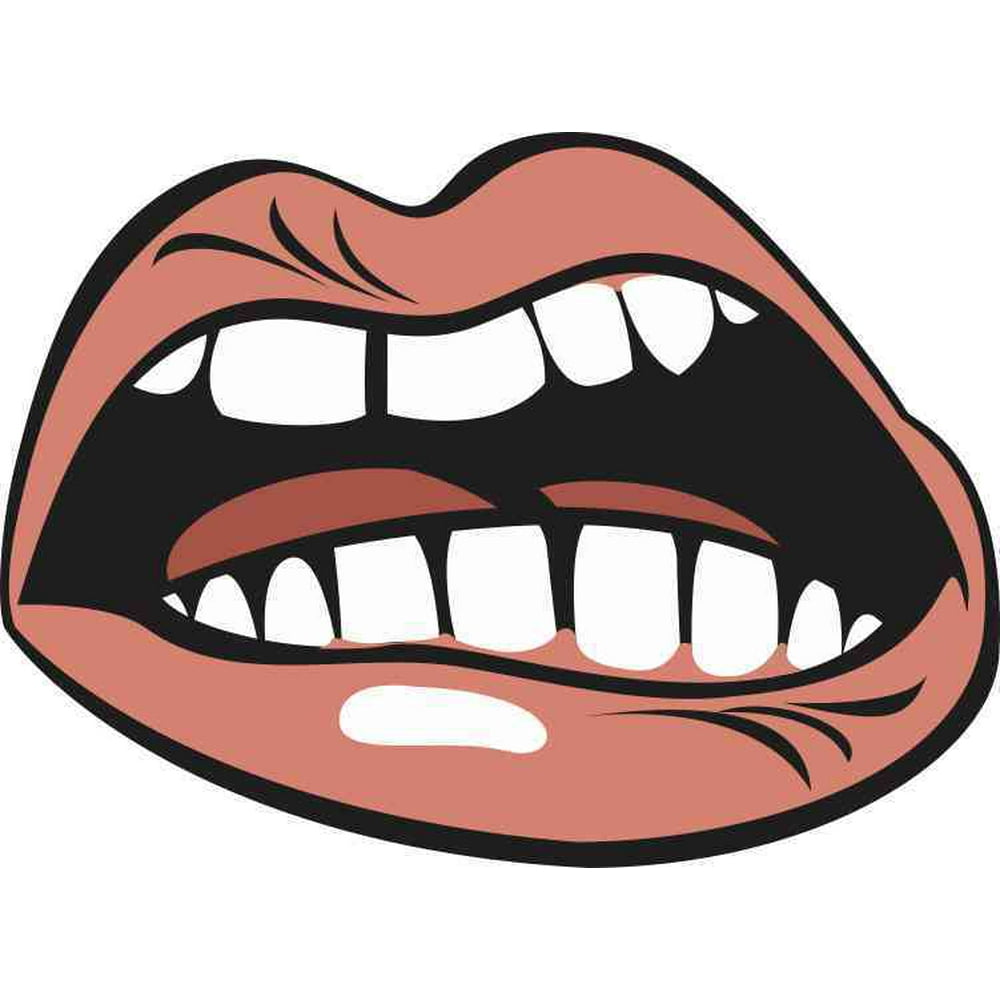 5in X 3.75in Angry Mouth Bumper Sticker Vinyl Truck Window Stickers Car