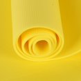 thumbnail image 3 of Final Clear Out! Yoga Mat Exercise Fitn Mat - High Density Non-Slip Workout Mat for Yoga  Pilates & Exercises  Anti - Tear  Sweat - Proof  173x60x0.4cm, 3 of 9