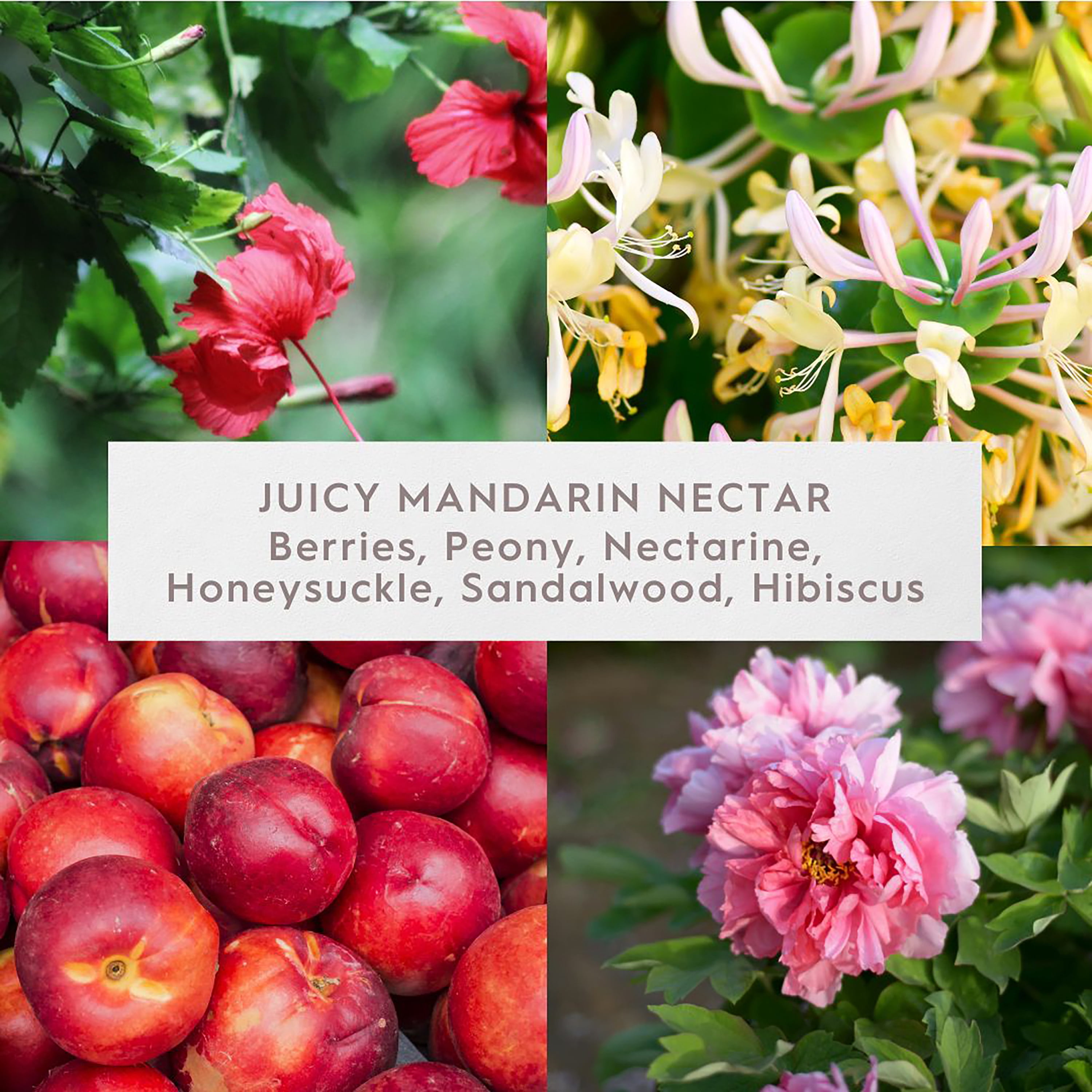 Better Homes & Gardens Fine Fragrance Collection, Juicy Mandarin Nectar Scented 2-Wick Jar Candle 16 oz.