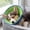 M, variant on Breathable Mesh Elizabethan Collar for Small Dogs | Soft Padded Recovery Cone for Cats & Puppies, Anti-Lick Chew Scratch Prevention, Adjustable Hook & Loop Closure