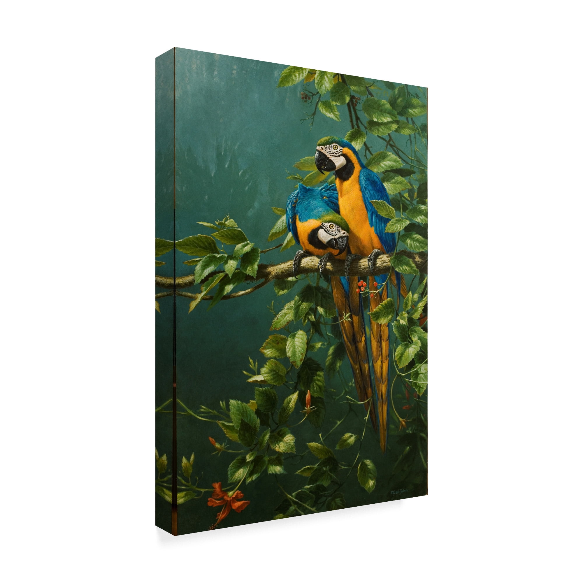 Trademark Fine Art 'Parrots, Love Is' Canvas Art by Michael Jackson