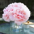 thumbnail image 2 of Enova Home Artificial Flowers Large 4 Heads Silk Peony Fake Flowers Arrangement in Cylinder Glass Vase with Faux Water for Home Office Wedding Decoration (Pink), 2 of 4