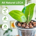 thumbnail image 5 of 10lb LECA Expanded Clay Pebbles for Plants, Hydroponics, Aquaponics, 100% Natural Leca Balls for Soil Root Development, Orchid Potting Mix, Drainage and Reusable, 4-16mm, 5 of 7
