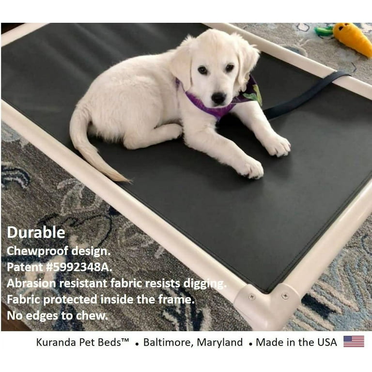 Kuranda Orthopedic Chewproof Elevated Dog Bed Outdoor Almond PVC Frame Ballistic Nylon Fabric Walmart