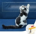 thumbnail image 1 of Ruban Anti-Rayures pour Chat Ruban d'Entraînement Double Face Transparent, 1 of 7