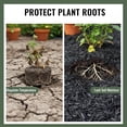 thumbnail image 4 of 1.5 Cu. ft. - 27 Lbs Black Shredded Rubber Mulch for Garden Ground Areas, and Landscaping, 4 of 7