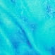 Blue Print