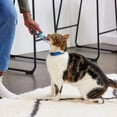 thumbnail image 4 of Beefeaters Lickables Tuna Puree Recipe Cat Treat, Lickable Squeezable No Sugar Added Wet Feline Treats for Snacks Rewards Training Treating Keep Animal Teeth Healthy & Strong 3ct Pack of 3, 4 of 7