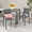 Gray + Dark Gray, variant on Jean Outdoor Modern Aluminum Dining Chair with Rope Seat (Set of 2)