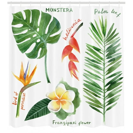 Plant Shower Curtain Bird Of Paradise Palm Leaf And Assorted