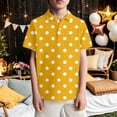 thumbnail image 2 of Rggeeun Boys Child T-Shirts Short Sleeve With Polka Dots Print Lapel Collar Knit Casual For Kids Comfortable Daily Wear Childrens Stylish Tee,Yellow,3-4 Years, 2 of 4