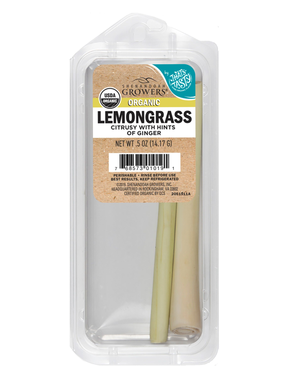 Herb Plants in Fresh Herbs