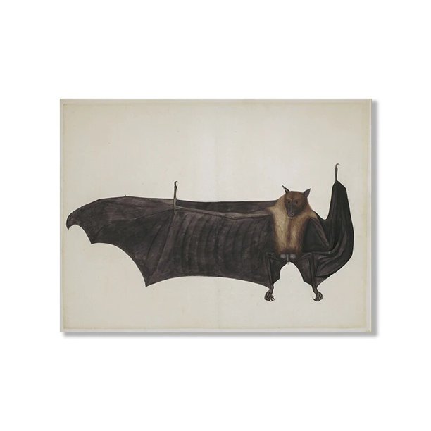 Moody-Conjunto de pared de galería de Halloween, impresiones de gato negro, pintura en lienzo, póster Vintage, búho, murciélago, imágenes de pared, decoración de la Academia oscura