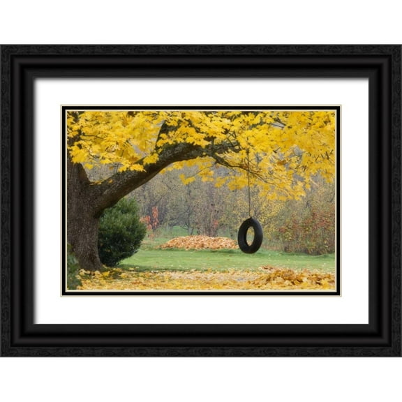 Paulson, Don 32x23 Black Ornate Wood Framed with Double Matting Museum Art Print Titled - OR, Hood River Tire swing hangs from tree branch