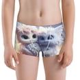 thumbnail image 5 of Yiaed Cute Animal Couple Print Boys' Boxer Briefs Cotton Casual Stretch Comfort Boys Boxers - Kids Boxer Briefs Underwear for Boys (6-18)-XX-Small, 5 of 5