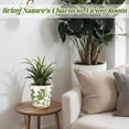 Sinyiin Retros Ceramic Pot Featuring Built In Drainage Ensuring Plant ...