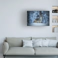 thumbnail image 2 of Jenny Qiu 'Coyote In Winter' Canvas Art, 2 of 4