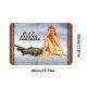 thumbnail image 5 of Chapa Metal Vintage Con Fortaleza Voladora Pintura Hierro Rectangular 40x30cm, 5 of 9
