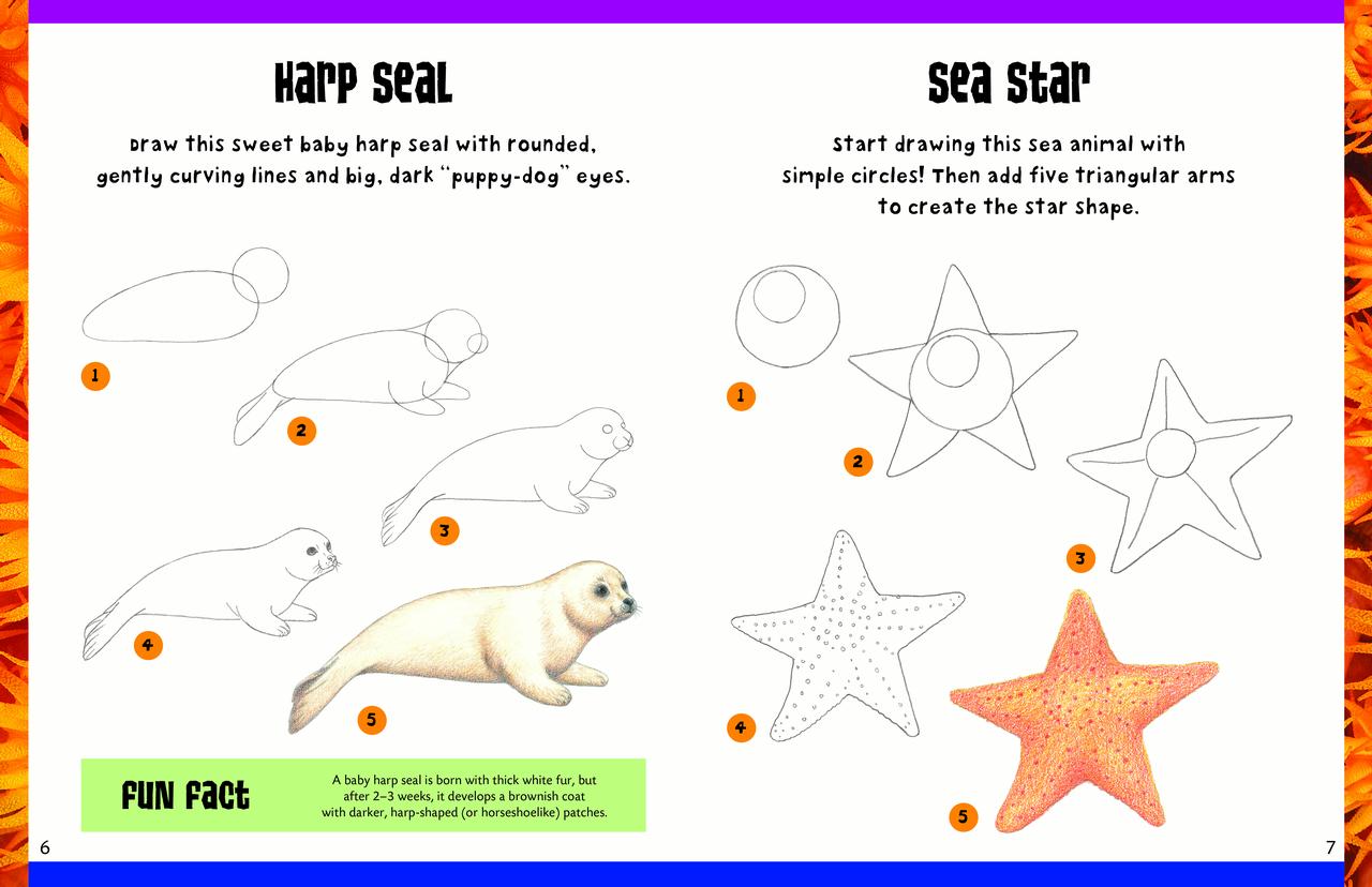 Learn To Draw How To Draw Sea Creatures Step By Step Instructions For Ocean Animals Paperback Walmart Com Walmart Com