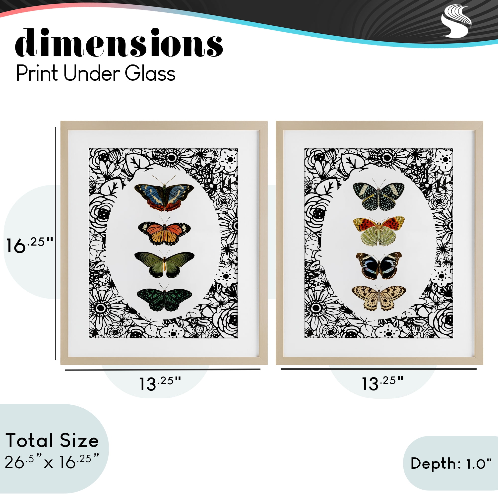 Stupell Industries Floral Butterflies Lineup 2 Piece Birch Framed Print Under Glass Set, design by Dan Meneely