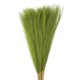 thumbnail image 1 of Uxcell 35Pcs Hierba Pampas Falsa 21" Pampas Falsas para Decoración de Bodas Verde Hierba, 1 of 7