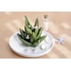 thumbnail image 4 of soporte para anillos de aloe vera, bandeja para anillos de cactus, soporte para joyas, bandeja para guardar anillos, pendientes, collares, caja para damas y niñas, regalo de cumpleaños para damas, 4 of 5