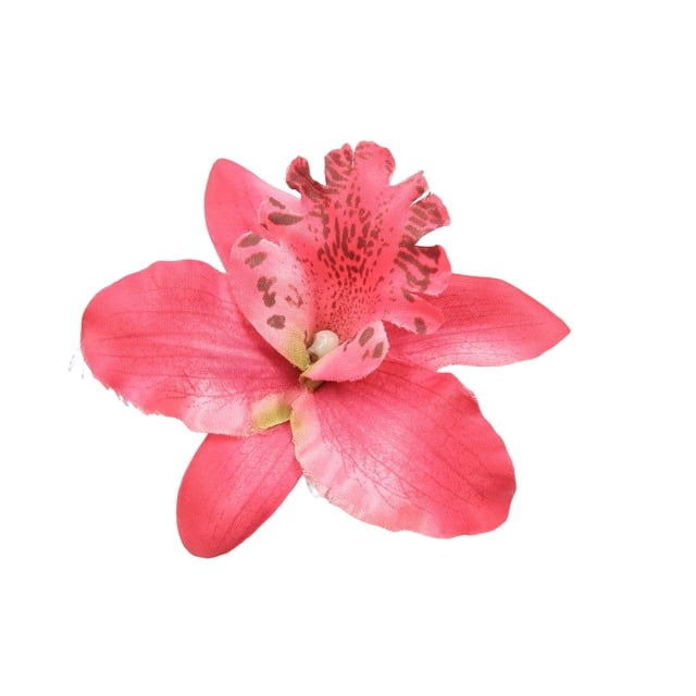 Modèle de Fleur Épingle à Cheveux Mignonne Décoration de Mode Cadeaux Portables Ornement Cheveux Épingle Coiffure Cadeaux Photographie Décorative pour le Travail Occasionnel Rouge