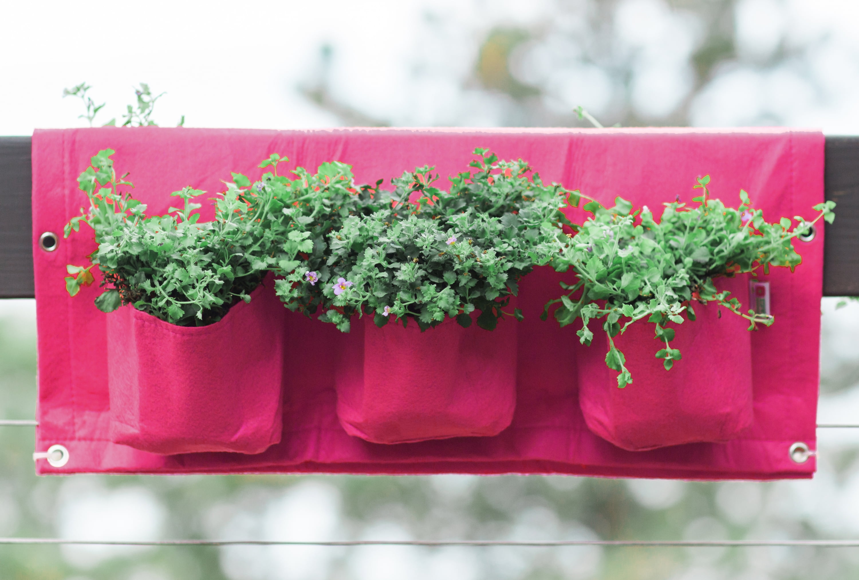 BloemBagz Deck Rail 6Pocket Hanging Planter Bag Amaranth