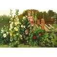thumbnail image 2 of Konstantin Yakovlevich Kryzhitsky 14x11 Black Ornate Wood Framed Double Matted Museum Art Print Titled: Hollyhocks, 2 of 5
