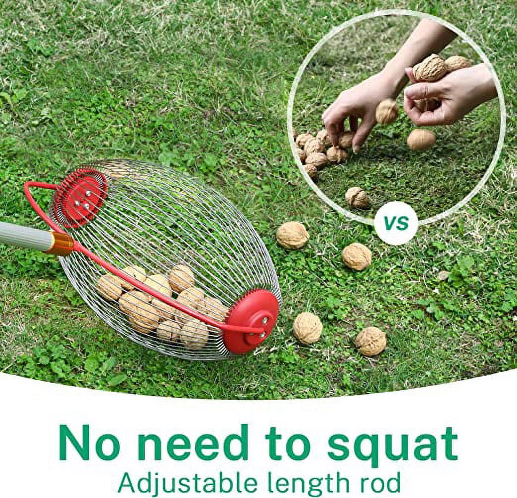 Nut Gatherer, Nut Picker Rolling Acorn Picker Upper,Adjustable Lightweight Outdoor Manual Tools,Collect Walnuts,Acorns,Hickory Nuts,Golf with 1.5Gallon(Large)