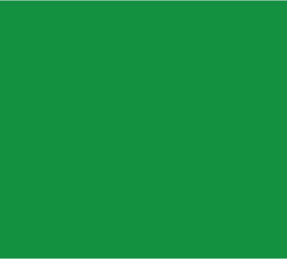 Photo 1 of Bazic 20 x 30 Green Foam Board Case Pack 25
