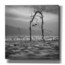 Epic Graffiti 'Eagle' by Dariusz Klimczak, Canvas Wall Art, 12"x12"