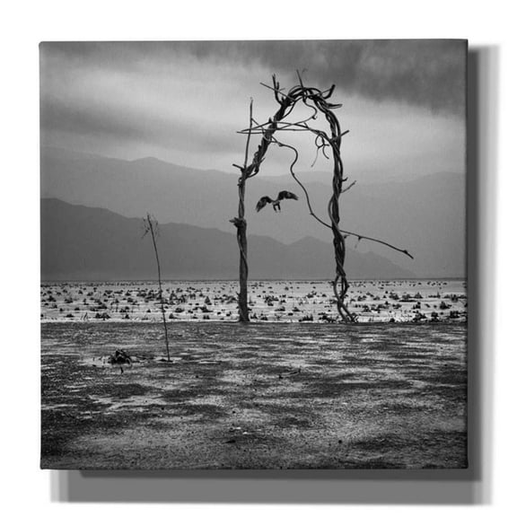 Epic Graffiti 'Eagle' by Dariusz Klimczak, Canvas Wall Art, 12"x12"