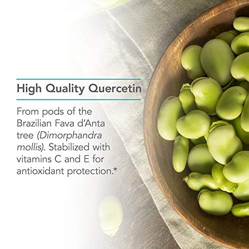 NutriCology Quercetin 300 - 60 Capsules