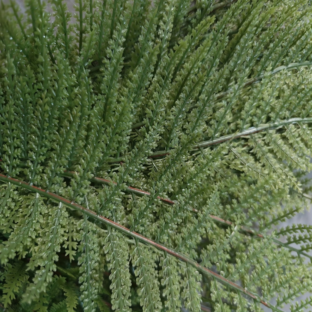 24/48 Pcs Artificial Boston Fern Leaves, 12.2 Inch Lush Green Fake Fern Plant, UV Resistant Foliage for Indoor Outdoor Home Office Decor