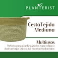 thumbnail image 2 of Planterist Cesta Organizadora Mediana Tejida – Algodón Lavable, Plegable y Portable – Multiusos 30x18.5 cm para Almacenaje, Decoración y Ropa Sucia (Navojoa), 2 of 9