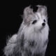 thumbnail image 4 of Preciosos adornos de perro salchicha o husky, tamaño mini, accesorios de jardín, 4 of 9