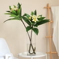 thumbnail image 2 of 35.5 Inch Artificial Flowers Artificial Frangipani Flower Stems Lifelike Real Touch Artificial Plumeria Flowers for Home Party Wedding Bouquet Home Decoration (Yellow), 2 of 5