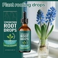 thumbnail image 5 of Rooting Hormone for Cuttings, Prop Drops, Plant Rooting Hormone, Propagation Drops for All Indoor Houseplants, 5 of 10