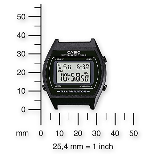 w202 casio