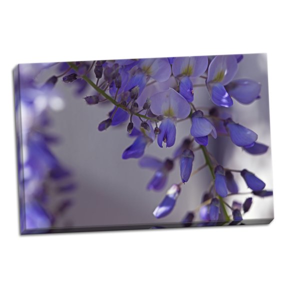 Gango Home Decor Delicate Wisteria I by Rita Crane (Ready to Hang); One 36x24in Hand-Stretched Canvas