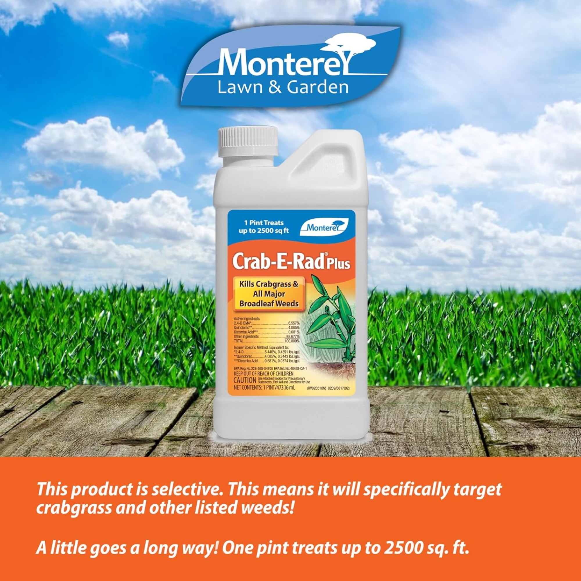 Monterey Crab-E-Rad Plus Crabgrass Killer Liquid Concentrate, 16 Ounces