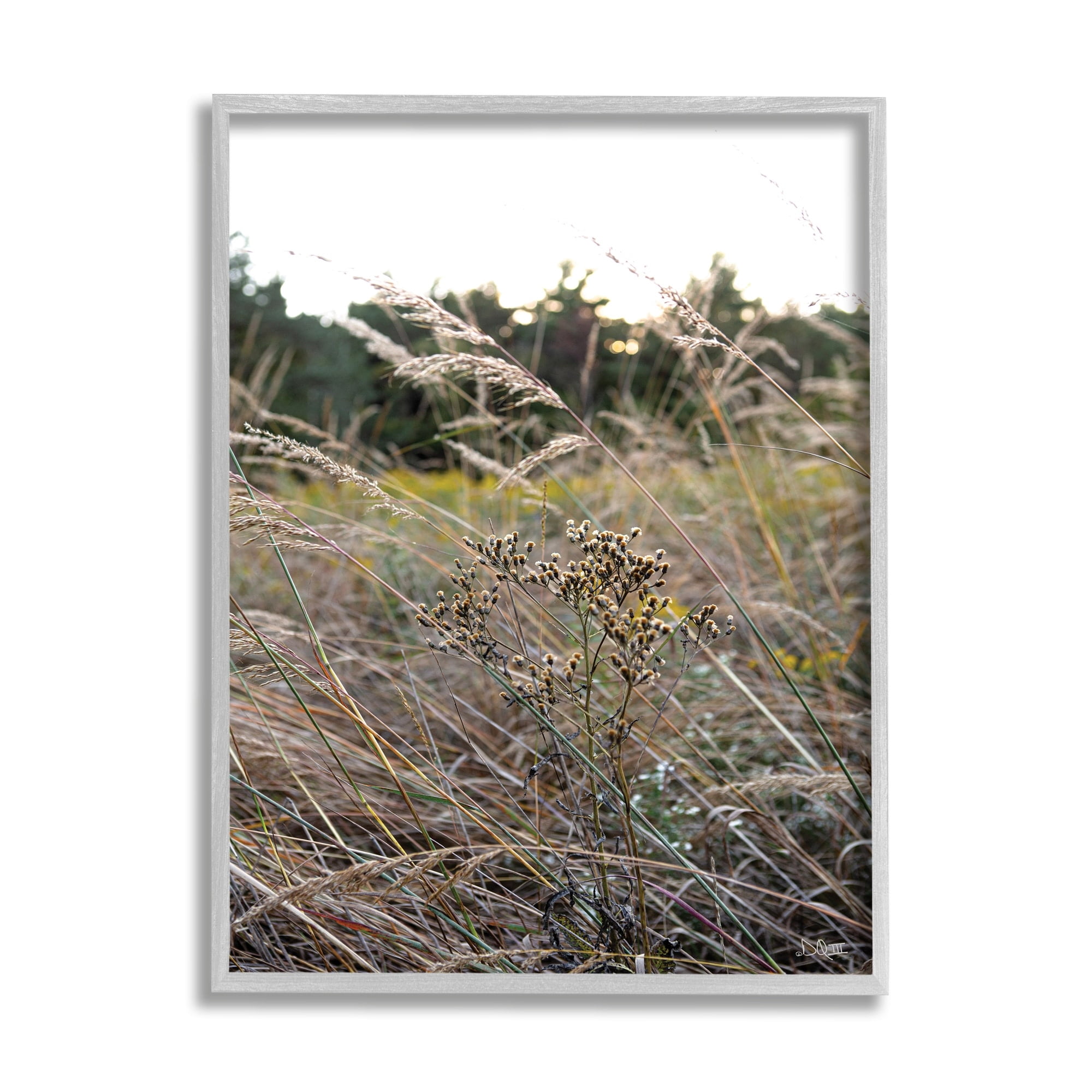 Stupell Industries Countryside Meadow Blooming Reeds Tall Grass Buds Framed Wall Art, 16 x 20, Design by Donnie Quillen