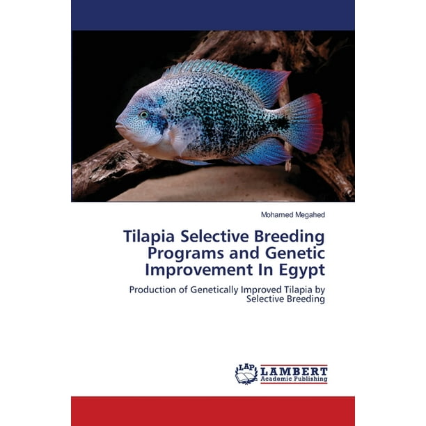 Tilapia Selective Breeding Programs and Genetic Improvement In Egypt  (Paperback) 