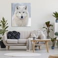 thumbnail image 3 of Stupell Industries White Wolf in Snow Animals & Insects Photography Gallery Wrapped Canvas Art Print Wall Art, 36 x 48, 3 of 8
