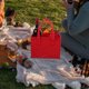 thumbnail image 1 of Nestingho 2Ud Bolsa Para De Vino Y Cerveza Con Divisor Removible Y Portátil, 1 of 5