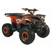 HHH 125cc ATV Quad 125cc ATV with Reverse, LED Lights, Big Wide Tires with Matching Rims 4 Wheeler-Red