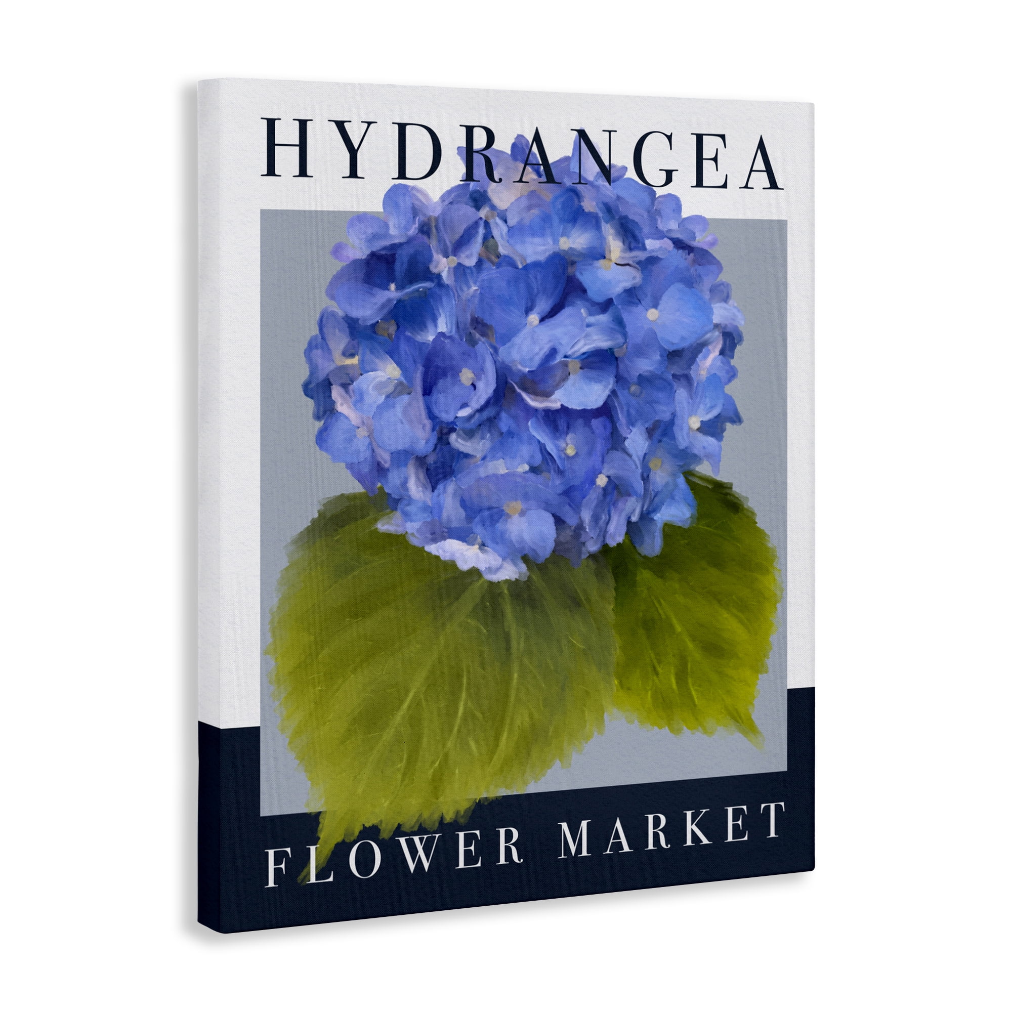 Stupell Industries Hydrangea Flower Market Canvas Wall Art, design by Jennifer Stith