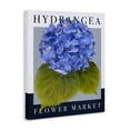 thumbnail image 2 of Stupell Industries Contemporary Hydrangea Flower Market Canvas Art, 16 x 20, by Jennifer Stith, 2 of 8