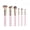 Pink, variant on Impressions Vanity Hello Kitty Supercute Signature 6 PC Makeup Brush Set, Aluminum Ferrule (White)